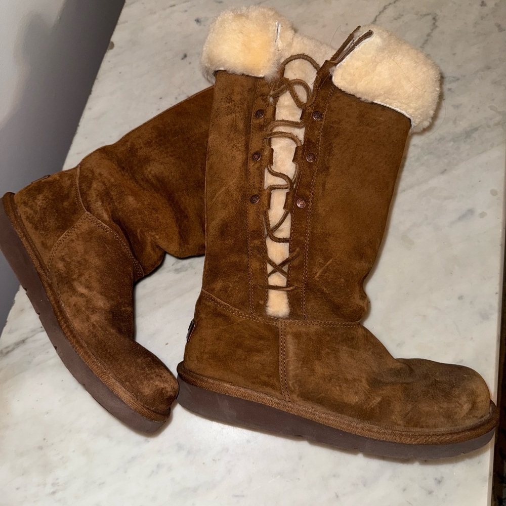 UGG Chestnut Suede Women's Winter Boots
